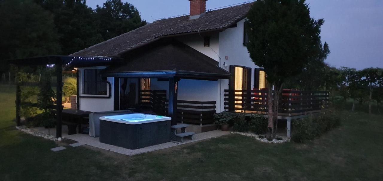 Holiday House Vilana Puconci Luaran gambar